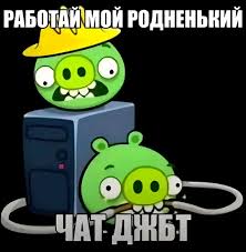 Кот